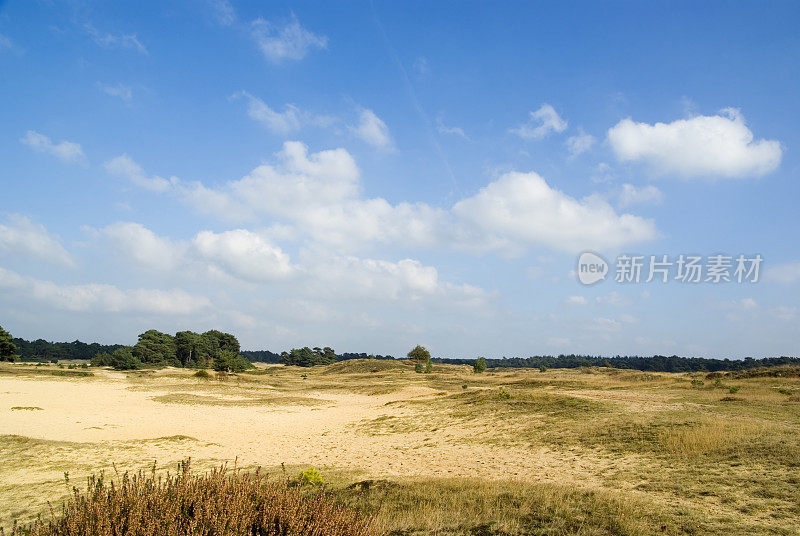 荷兰景观:沙丘(Wekeromse Zand)